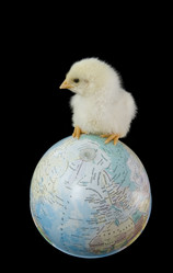 Similar image 158005