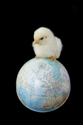 Similar image 158006