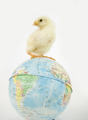 Similar image 158008