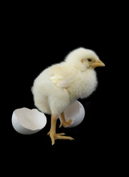 Similar image 158009