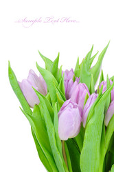 Similar image 158016