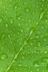 Similar image 158129