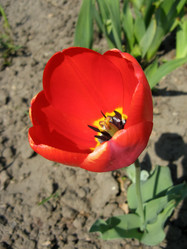 Similar image 158162