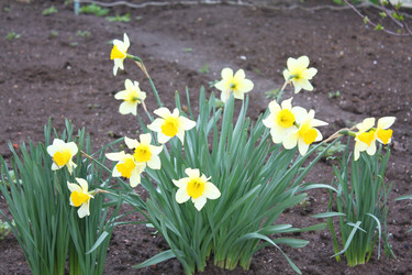 Similar image 158166