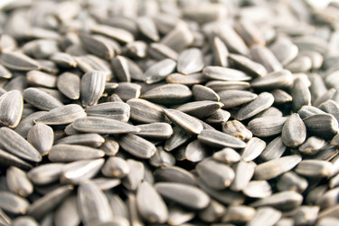 Similar image 158267