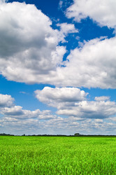 Similar image 158296