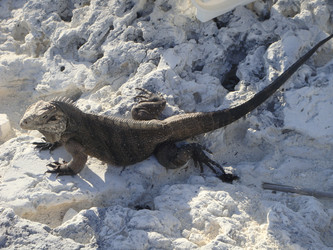 Similar image 158297