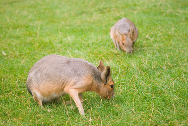 Similar image 158305