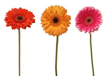 Similar image 158313