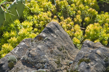 Similar image 158338