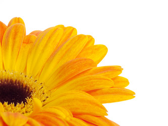 Similar image 158356