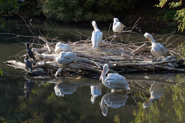 Similar image 158378