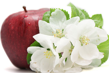 Similar image 158426