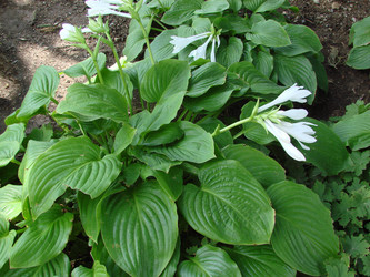 Similar image 158449