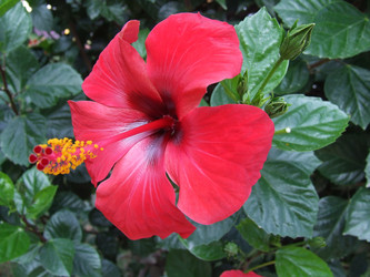 Similar image 158459