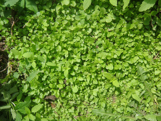 Similar image 158490