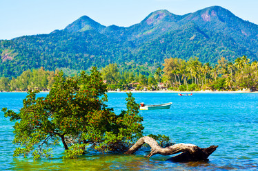 Similar image 158504