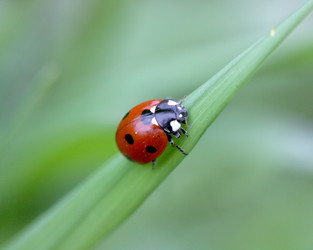 Similar image 158518