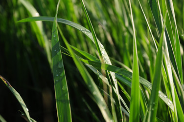 Similar image 158522