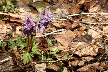 Similar image 158558