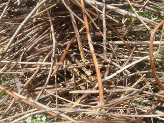 Similar image 158624