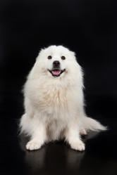 Similar image 158625