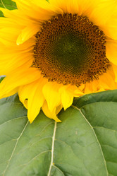 Similar image 158633