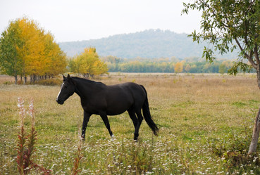 Similar image 158637