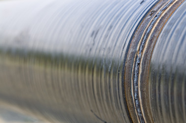 Similar image 158642