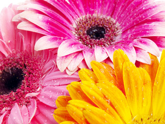 Similar image 158680