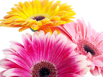 Similar image 158681