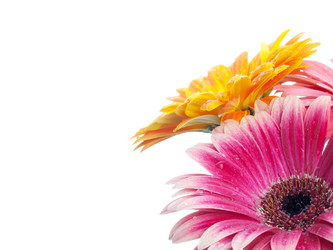 Similar image 158683