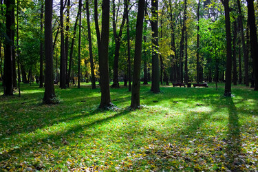 Similar image 158701