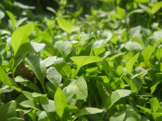 Similar image 158751