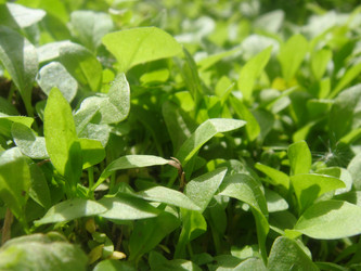 Similar image 158752