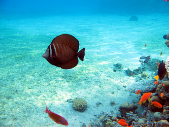 Similar image 158760