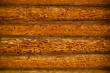 Similar image 158768