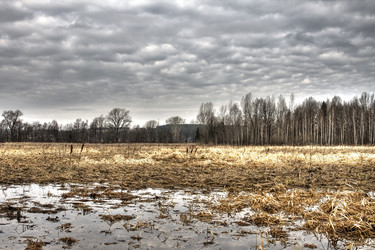 Similar image 158782