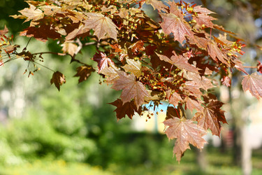 Similar image 158793