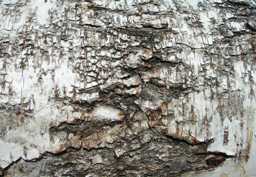 Similar image 158795