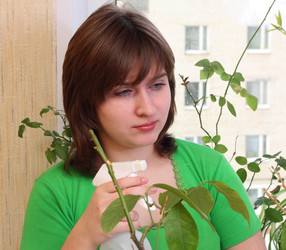 Similar image 158811