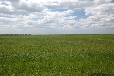 Similar image 158812