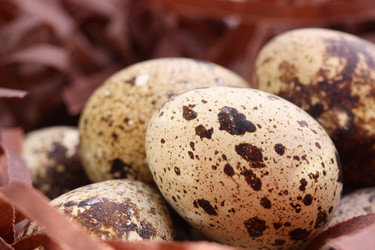 Similar image 158825