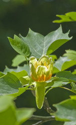 Similar image 158848