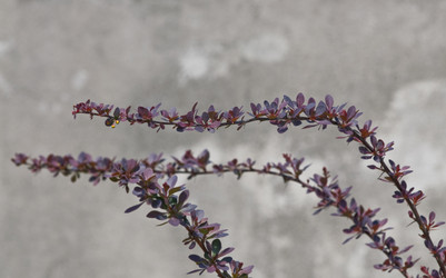 Similar image 158853