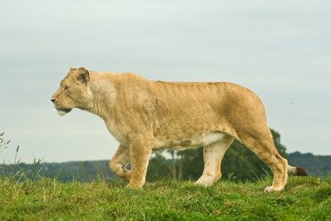 Similar image 158864