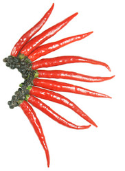 Similar image 158867