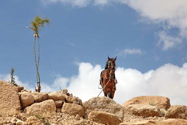 Similar image 158878