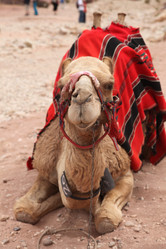 Similar image 158879