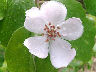 Similar image 158889